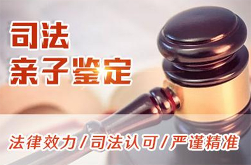 江苏司法DNA亲子鉴定预约办理,江苏权威司法DNA亲子鉴定中心